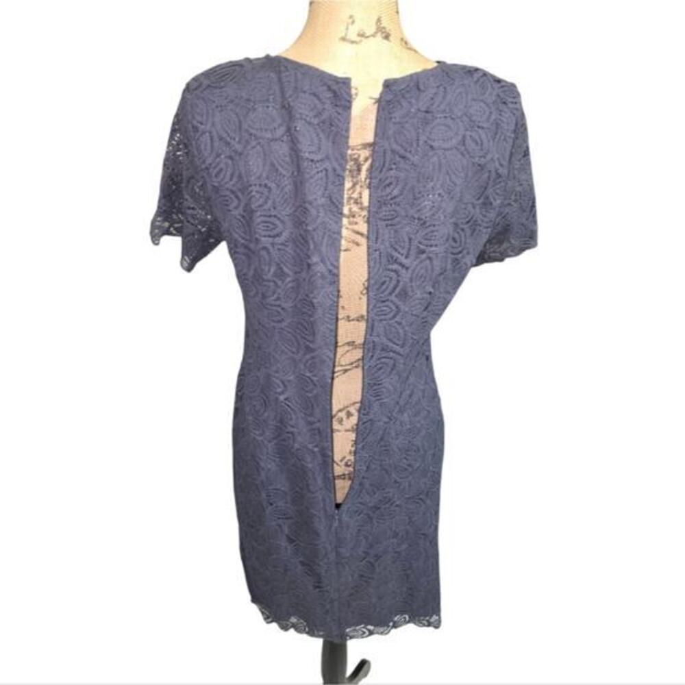 Ann Taylor Bue Grey Lace Shift Dress Scallop Edge Style Women's Size 4 New - Picture 5 of 9